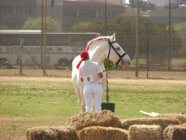 Pta skou 2009 017_1_th1.jpg